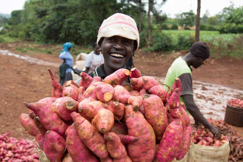 agroecology